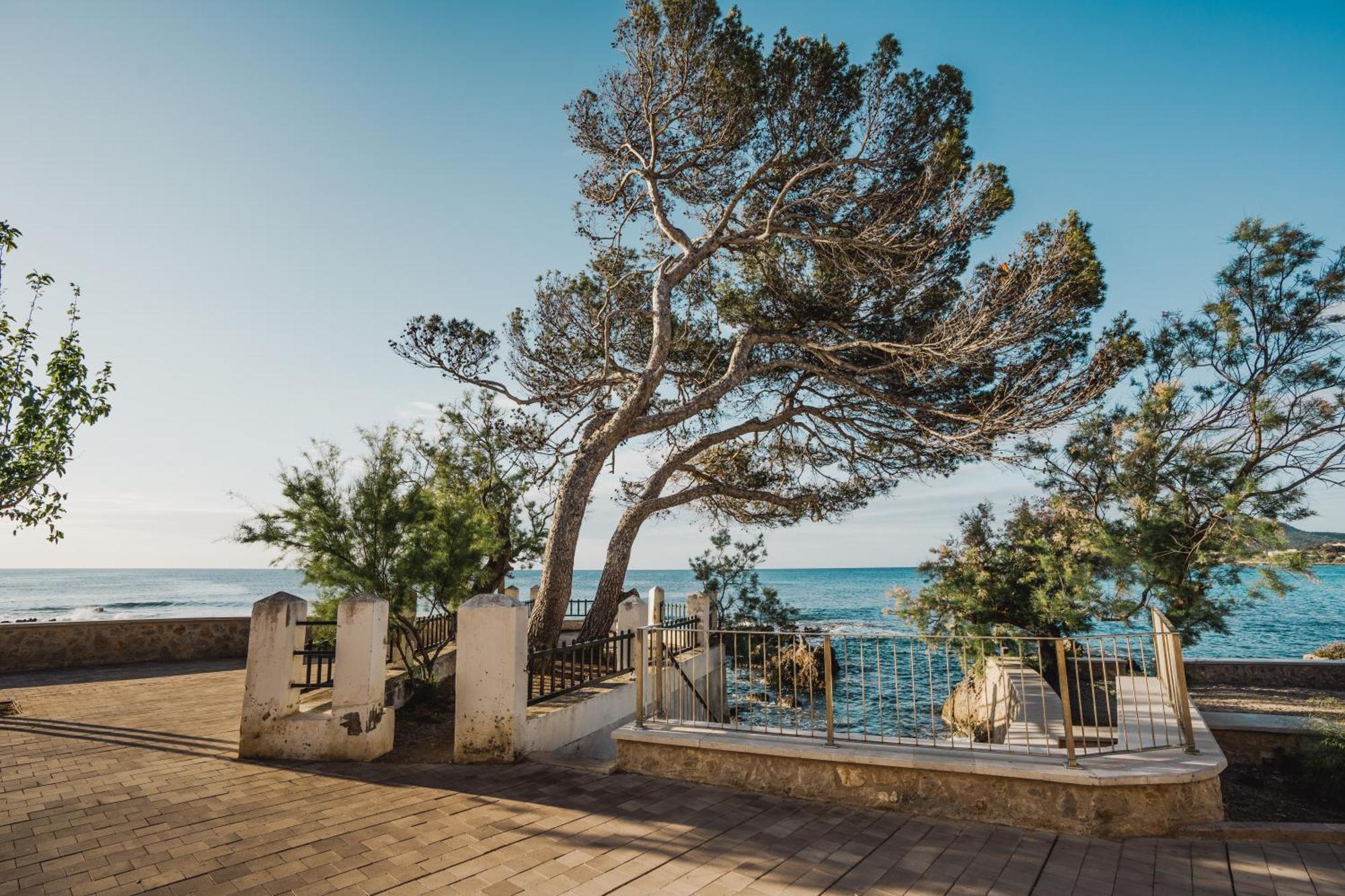 Sa Punta Duplex Cala Ratjada Apartment กาลารัตจาดา ภายนอก รูปภาพ